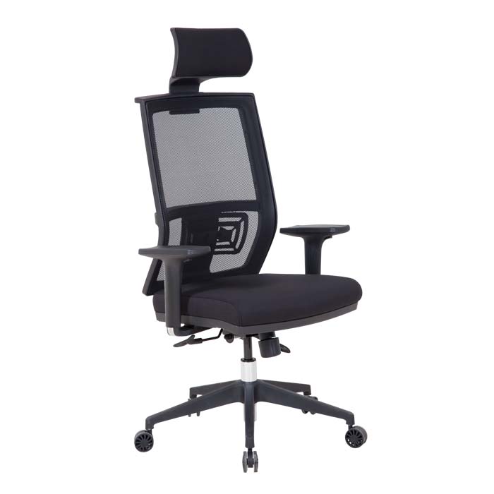 Office Executive Chair - Fit