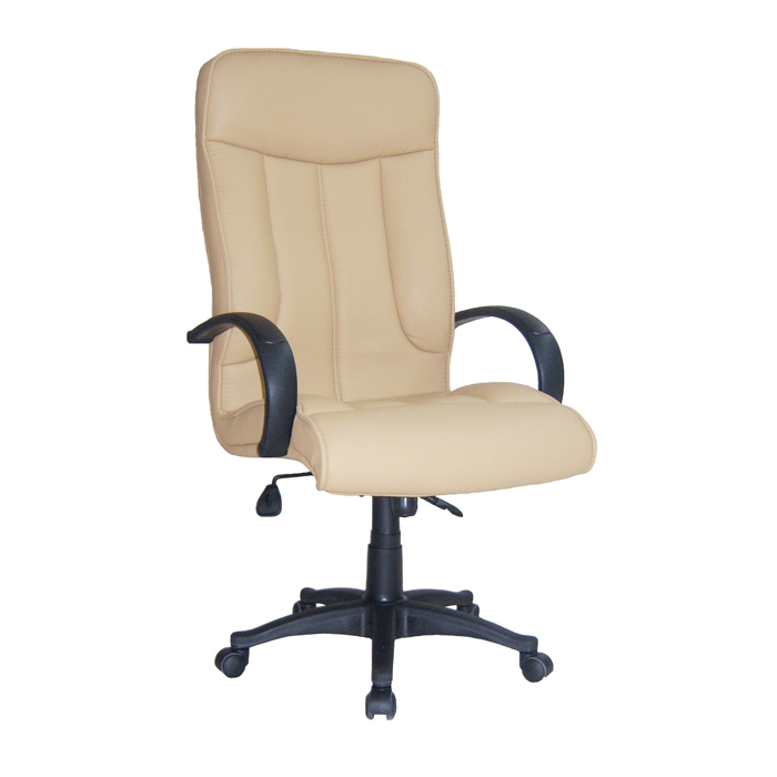 Office Executive Chair - Mio plastik